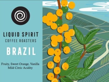 BRAZIL ALICI </br><b> Vanilla / Fruity / Orange / Sweet  </b>