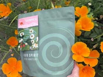 SUMMER Blend</br><b> Peach Tea / Raspberry Cherry / Caramel Ice Cream </b>